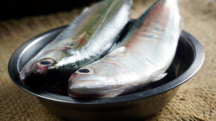 Indian mackerel fish. Species of mackerel family, commonly found in the Indian and West Pacific...