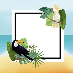 poster tropical leaves palm beach background vector illustration eps 10