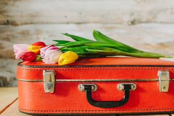 tulips in red suitcase. woden background
