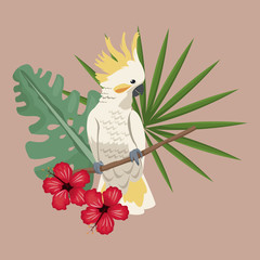cockatoo bird exotic hibiscus palm leaves vector illustration eps 10 © Jemastock