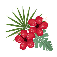 hibiscus flower tropical image vector illustration eps 10