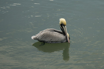 Who Are You Looking At?