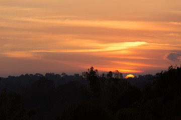 Fototapeta na wymiar silhouette forest view while sunset