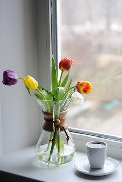 A bouquet of tulips in a glass container for brewing coffee on the windowsill. White cup with coffee. Bright day