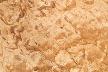 Wood pattern, Karelian birch texture