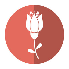 tulip flower decoration image shadow vector illustration eps 10