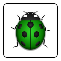 Ladybug small icon. Green lady bug sign, isolated on white background. 3d volume design. Cute colorful ladybird. Insect cartoon beetle. Symbol of nature, spring or summer. Vector illustration