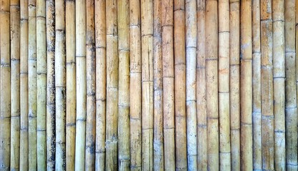 Old brown bamboo fence background