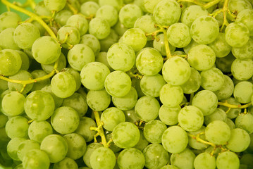 Cluster of Green Grapes; close-up; fresh fruit