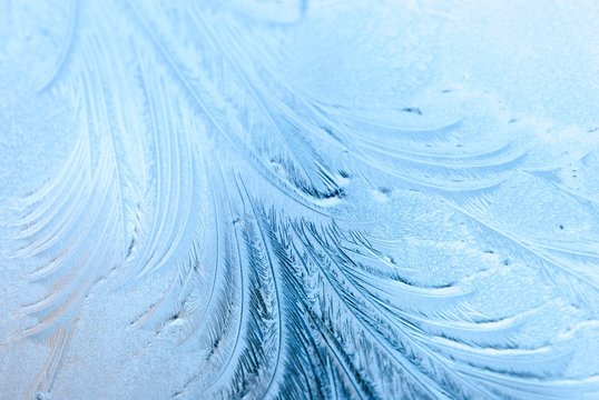 Eiskristalle / Eisblumen wie Vogelfedern auf einer Glasscheibe, Winter, Hintergrund, Niedersachsen, Deutschland, Europa