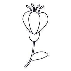 flower spring decoration line vector illustration eps 10