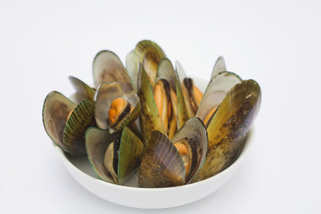 Cooked green mussles in bowl, Perna canalicula