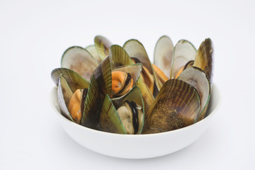 Cooked green mussles in bowl, Perna canalicula