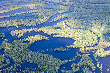 Aerial view flooded forest plains in summer.