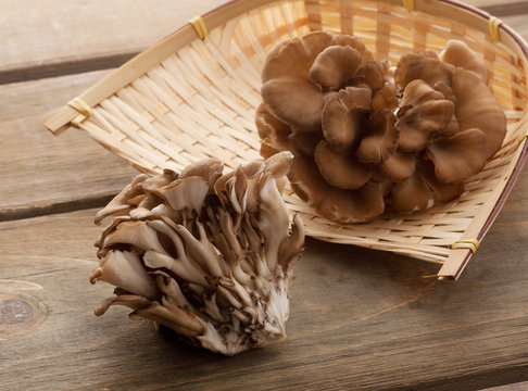 舞茸　
