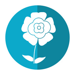 flower flourish natural shadow vector illustration eps 10