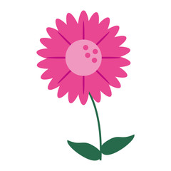 gerbera flower natural image vector illustration eps 10