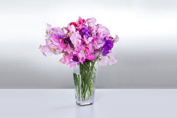 Flowers peas in vase on white table