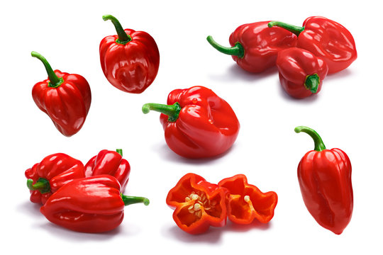 Set of Trinidad seven pod peppers, paths