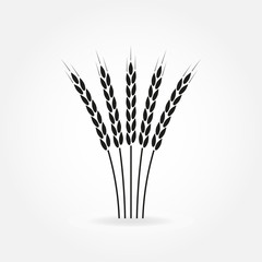 Wheat ears or rice icon. Crop, barley or rye symbol. Design element for beer label or bread packaging. Vector illustration.