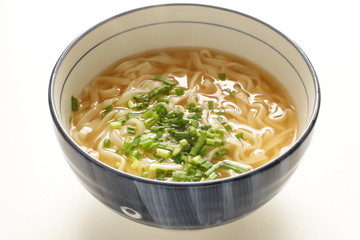 Japanese food, udon noodles and spring onion