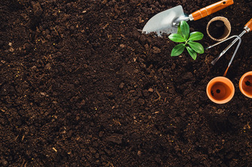 Gardening tools on fertile soil texture background seen from above, top view. Gardening or planting...
