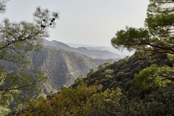 Beautiful mountain landscape, with mountain peaks covered with forest. Troodos, Cyprus