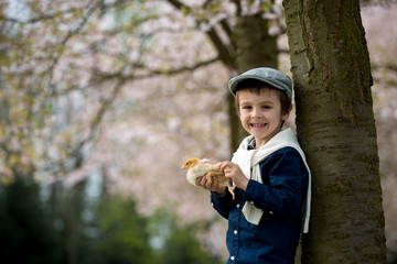 Cute adorable preschool child, boy, playing with little chicks
