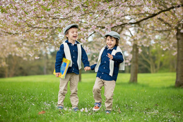 Obraz premium Two cute children, boy brothers, walking in a spring cherry blossom garden
