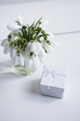 Beautiful white snowdrops with gift box on white wooden background