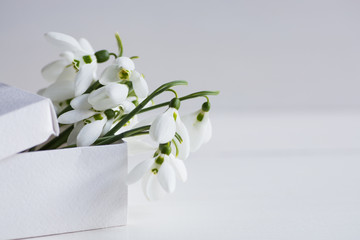 Bouquet of beautiful white snowdrops in box on white wooden background