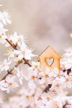 Wooden house with hole in form of heart surrounded by flowering branches of spring trees