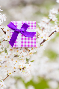 Beautiful gift box surrounded by flowering branches of spring trees
