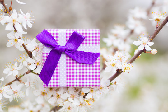 Beautiful gift box surrounded by flowering branches of spring trees
