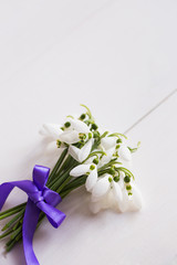 Beautiful tender snowdrops with purple ribbon on white wooden background