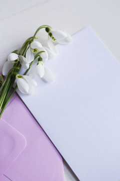 Beautiful white snowdrops with clear paper on white background