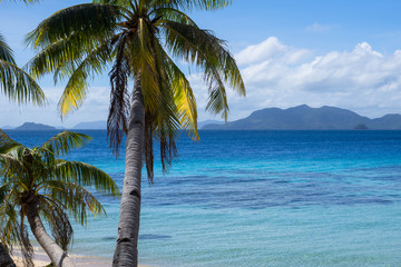 Fototapeta na wymiar Tropical View With Azure Sea Hues and Coconut Trees