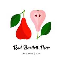 Red Bartlett Pear vector editable image
