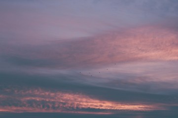Sunset sky clouds and flying birds