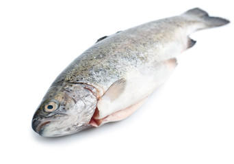 Fresh trout fish isolated, diagonal