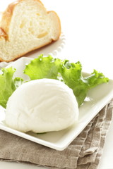 mozzarella cheese 