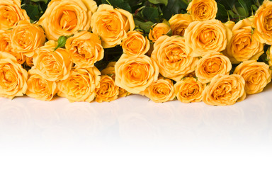 Bouquet of yellow roses isolated