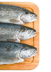 Three trout fish isolated on white background