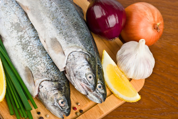 Fish - Trout Breeding