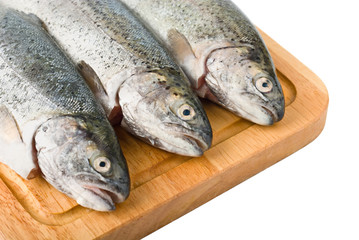 Three trout fish isolated