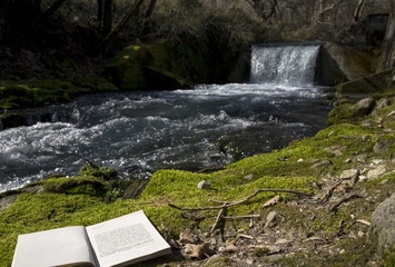  waterfall on stream with book