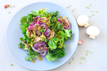 Grüne Linsen, Grünkohl, Champignions und Zwiebeln