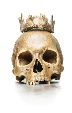 skull Queen with a crown of jaw