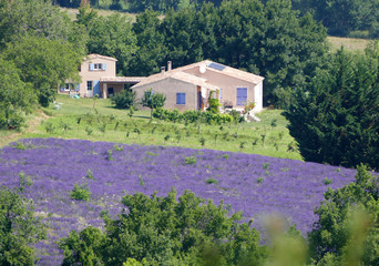 Fototapeta na wymiar Bauernhof in der Provence