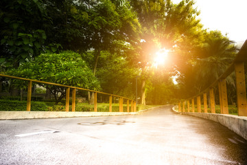 Park in the morning with bicycle lane
